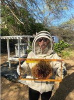 Beekeeper holding up a frame full of bees and honeycomb