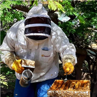 Beekeeper using a smoker while inspecting a honeycomb frame