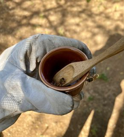 Tasting fresh raw honey straight from the comb